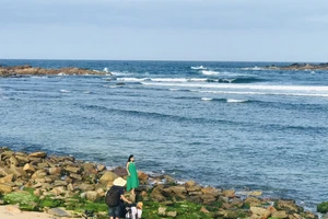 Rêu, rong và bình yên làng chài Nhơn Hải níu chân du khách