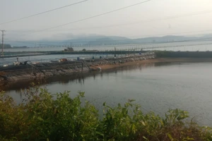 Bình Định xem xét thu hồi dự án treo khiến dân khốn khổ