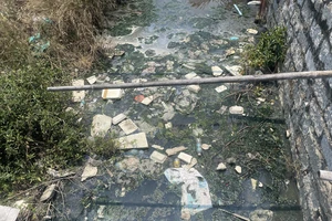 Dân 'ngạt thở' với các cơ sở chế biến mực ô nhiễm