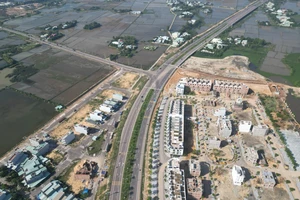 Bình Định đấu giá 126 lô đất 