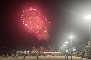 Bình Định chào đón chuỗi sự kiện du lịch hè năm 2024