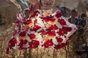 Giá lương thực toàn cầu tăng cao kỷ lục trong năm 2022 