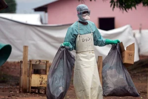 WHO họp khẩn về đợt bùng phát virus nguy hiểm Marburg cùng họ Ebola làm nhiều người chết ở châu Phi