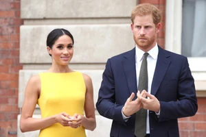 Hoàng tử Harry và vợ là Công nương Meghan. Ảnh: THE SUN