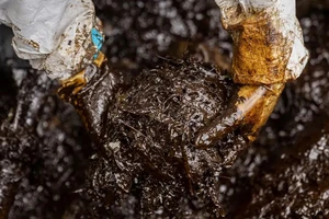 Chùm ảnh: Bãi biển đen kịt vì tàu chở dầu chìm ngoài khơi Philippines 