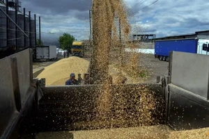 Công nhân chất ngũ cốc lên xe tải ở cảng Odesa (Ukraine) ngày 23-6- 2022. Ảnh: REUTERS