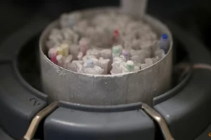 Các lọ tinh trùng đông lạnh được bảo quản trong một phòng thí nghiệm ở thủ đô Paris (Pháp). Ảnh: REUTERS