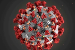 WHO tuyên bố COVID-19 không còn là tình trạng y tế khẩn cấp toàn cầu 