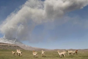 VIDEO: Núi lửa phun tro bụi mù mịt một vùng