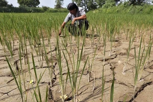 El Niño khiến thời tiết thế giới thêm khó lường 
