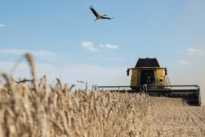 Nga liệt kê 7 điều kiện nối lại thỏa thuận ngũ cốc