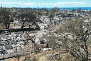 Cháy rừng Hawaii: Người chết lên tới 80, khẩn cấp điều tra công tác xử lý thảm họa