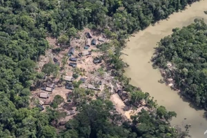 Venezuela trục xuất hơn 11.500 thợ đào vàng khỏi rừng do gây ô nhiễm 