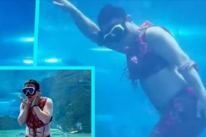 VIDEO: Hài hước màn biểu diễn của chàng tiên cá mũm mĩm giữa thủy cung