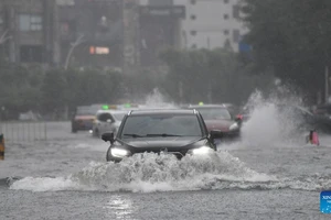 Bão Wipha đổ bộ, Trung Quốc nâng mức cảnh báo với các tỉnh miền nam