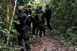 Căng thẳng biên giới Thái Lan - Campuchia leo thang