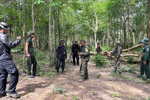 13 người Campuchia thiệt mạng trong giao tranh sáng nay; Ông Thaksin dự báo xung đột và hoà giải 