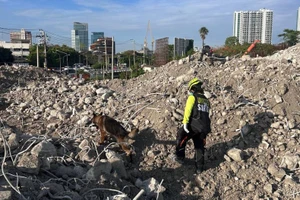 Thái Lan truy tố 23 người trong vụ sập toà nhà ở Bangkok do động đất