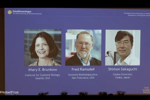 Nobel Y học 2025 gọi tên các nhà khoa học Mỹ và Nhật 