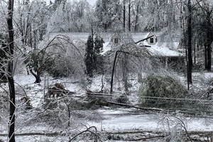 Hàng chục người thiệt mạng trong bão tuyết giá rét nghiêm trọng ở Mỹ