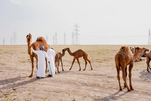 Vương quốc dầu mỏ nhỏ bé vùng Vịnh lao đao vì chiến tranh Iran