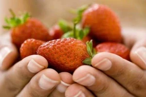 7 loại thực phẩm phòng chống nếp nhăn cho da