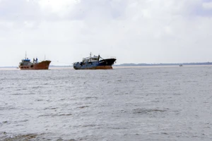 Thi công dự án luồng cho tàu biển lớn vào sông Hậu trong tháng 3