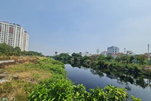 Cận cảnh con kênh dài nhất TP.HCM trước ngày 'thay áo mới'