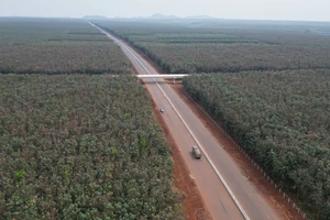 Khánh thành cao tốc Phan Thiết-Dầu Giây: Đường lớn đã mở!