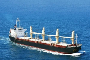 Giá cước vận chuyển tăng cao, Cục Hàng hải vào cuộc