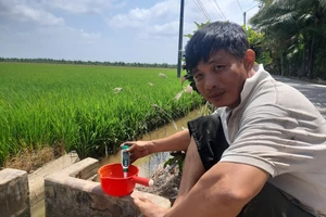 ĐBSCL ứng phó nguy cơ hạn mặn gay gắt