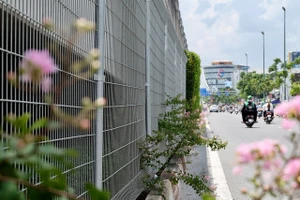 Để nhiều rác thải, đốt rác dưới dạ cầu, quận 7 và huyện Nhà Bè bị nhắc nhở