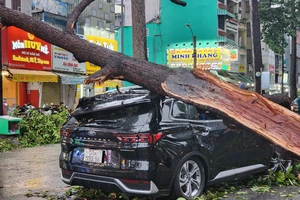 Mưa dông ở TP.HCM làm đổ nhiều cây xanh, Nam Bộ tiếp tục mưa lớn