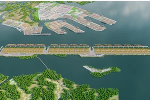 Đề nghị đơn vị nghiên cứu làm rõ vị trí xây cảng trung chuyển quốc tế Cần Giờ