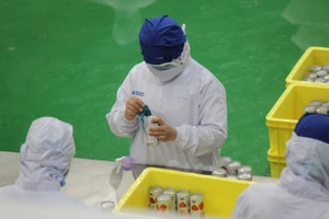 Một môi trường kinh doanh thông thoáng sẽ tạo điều kiện cho doanh nghiệp tập trung phát triển thay vì bị cản trở bởi các quy định rườm rà. Ảnh: QH