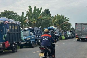 Rác ùn ứ tại Hóc Môn: Nhiều ý kiến từ người thu gom rác