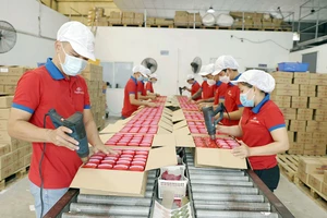 Chuyên gia cho rằng cần có những cải cách quyết liệt hơn về thể chế và chính sách để thúc đẩy kinh tế tư nhân bứt phá.