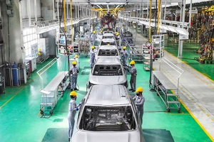 Nhiều tập đoàn tư nhân vươn lên mạnh mẽ, không chỉ dẫn dắt thị trường trong nước mà còn ghi dấu ấn trên bản đồ kinh tế thế giới.