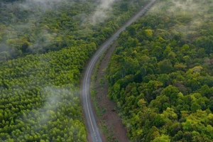 Toàn cảnh con đường độc đạo xuyên rừng nối tỉnh Đồng Nai và Bình Phước