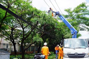 Công nhân ngành điện xử lý nhánh cây để đảm bảo an toàn điện mùa mưa, bão.