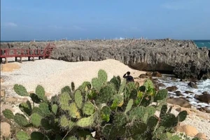 Ngắm vẻ đẹp hoang sơ, cuốn hút của Vườn quốc gia Núi Chúa - Phước Bình