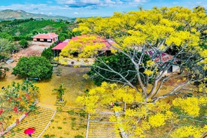 Cao nguyên Di Linh: Vùng đất trầm lắng đang chờ ngày cất tiếng