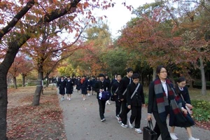 Phản hồi bài báo “Quả đắng: du học Nhật”