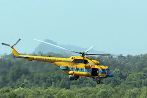 Ngày thứ 6: Triển khai tìm kiếm ở khu vực rừng U Minh