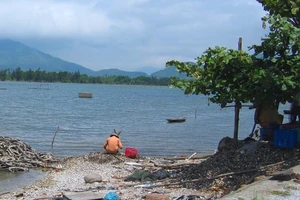 Vịnh đẹp thế giới bị ô nhiễm bởi nghề nuôi hàu