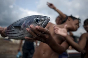 Cuộc chiến giữ biển của ngư dân Philippines