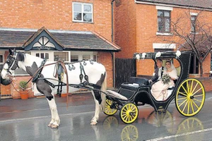 Những đám cưới xui xẻo nhất thế giới