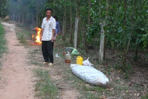 Phát hiện xác người đàn ông phân hủy trong vườn cây