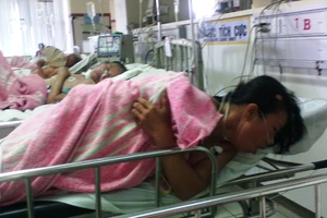 7 người chết và nhập viện do ăn cá nóc