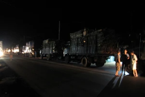 Xử lý nghiêm lực lượng tại trạm cân có hành vi tiêu cực